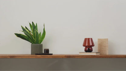 Plant Shelf